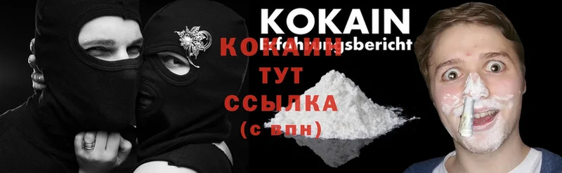 закладки  Заволжье  Кокаин Fish Scale 